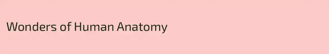 Wonders of Human Anatomy